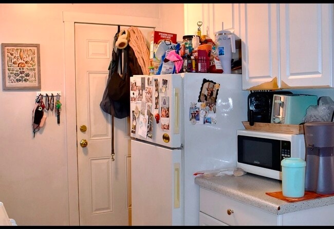 Photo - 3843 N Greenview Ave Unit 1