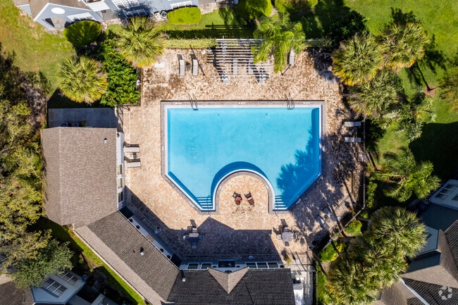 Pool - 3453 Timber Run Dr Valrico, FL 33596-6180
