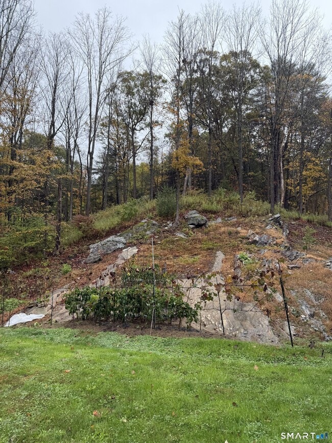 Photo - 91 Reynolds Bridge Rd Unit B