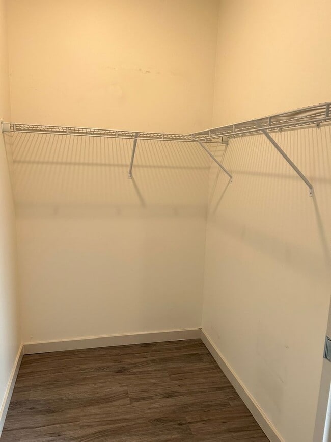 Photo - Studio Unit at Tiller+Main Unit 203
