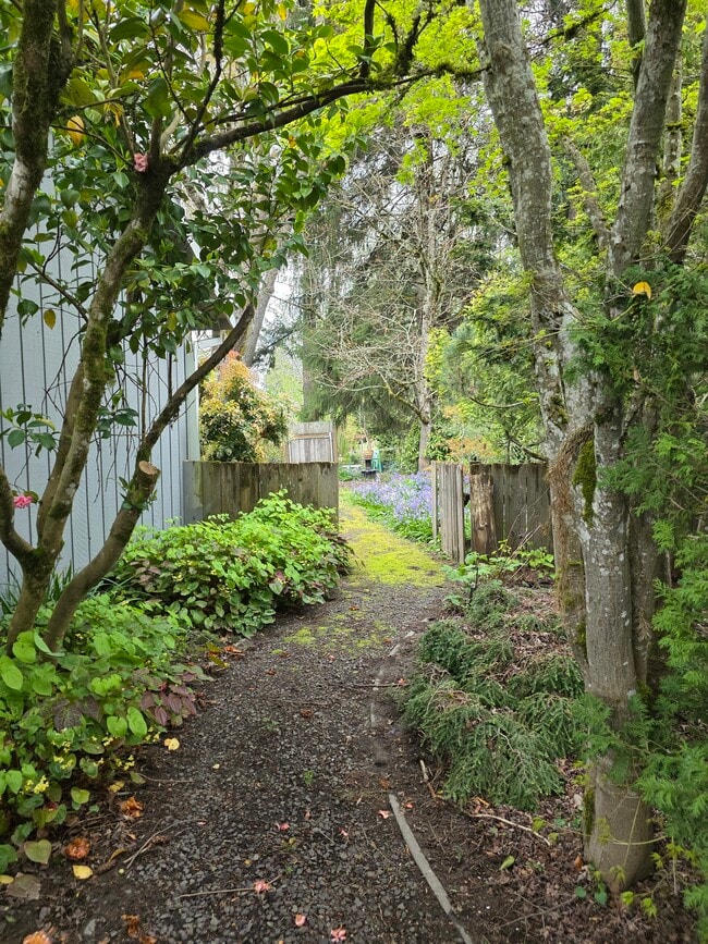 LANDSCAPED YARD WITH PATH FROM THE FRONT YARD - 5955 SW 179th Ave
