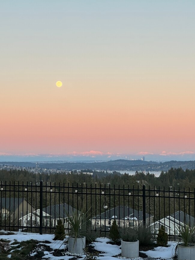 Seattle Skyline/Sound View - 1339 Baker Heights Loop