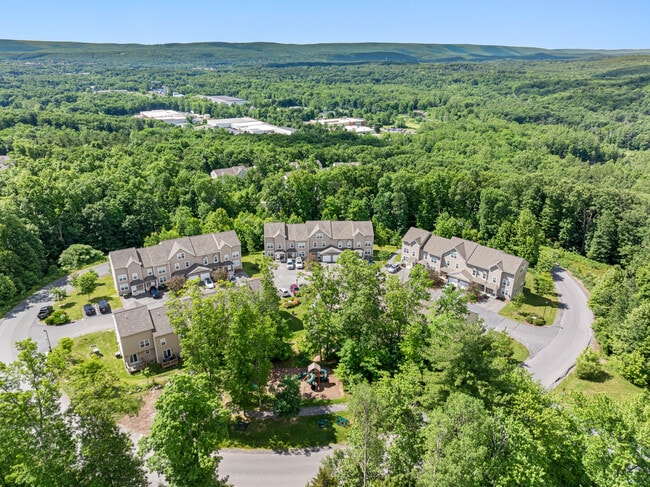 Dream Mountain Hollow
