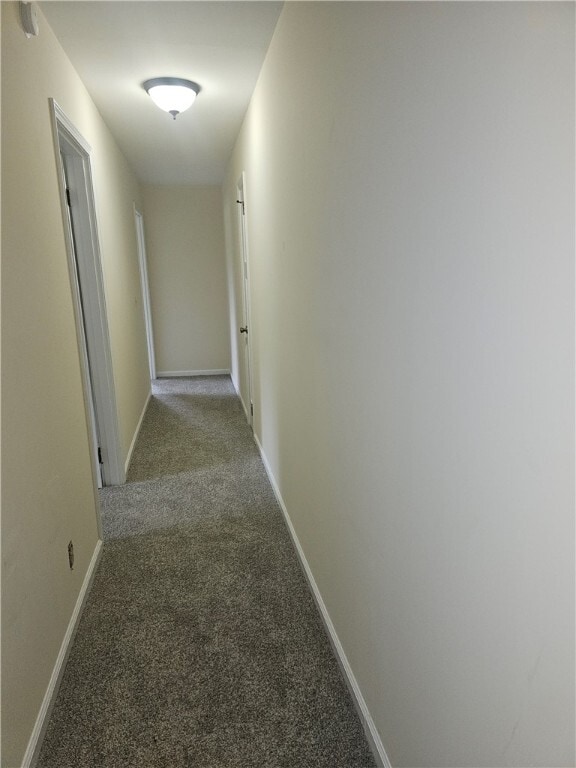 Building Photo - 204 Morris St Rental