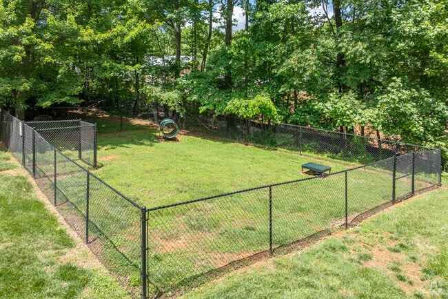 Dog Park