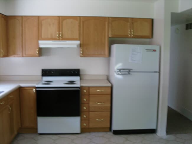 Building Photo - 203 N Pingree Ave Unit #1