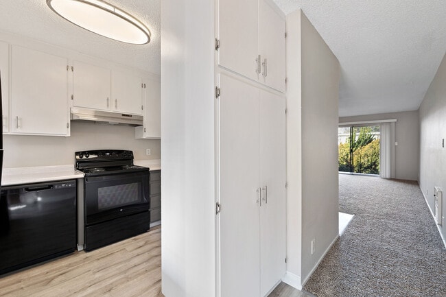 ReNew Miramonte