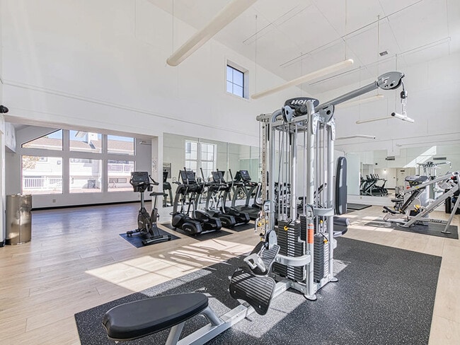 Photo - The Goose Apartments