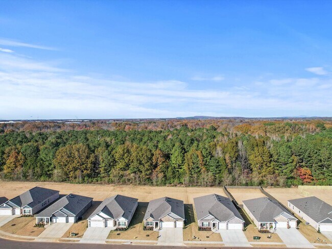 Photo - Spacious 4-Bed, 3-Bath New Home with 3-Car Garage and Private Owner’s Suite!