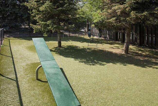 Dog Park