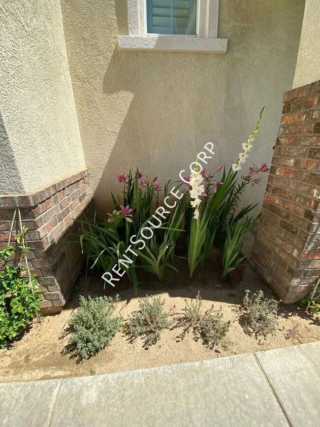 Photo - 3147 W Kildare St
