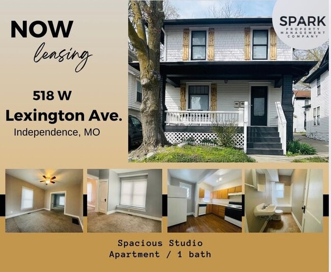 Building Photo - 518 W Lexington Ave Rental
