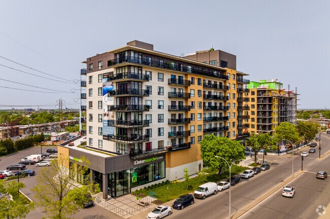 Building Photo - Città Apartments