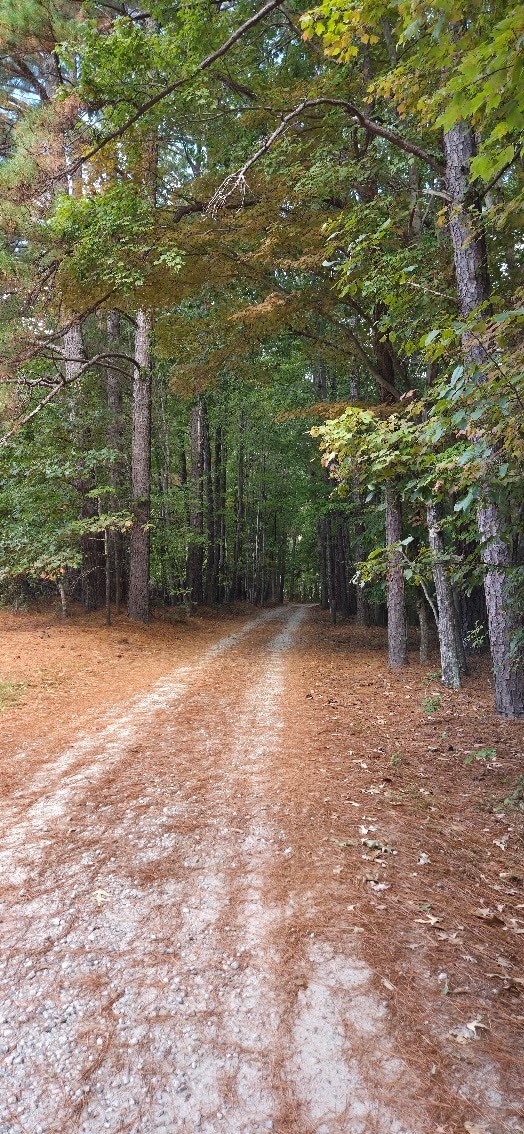 Photo - 2212 Old Kearney Rd