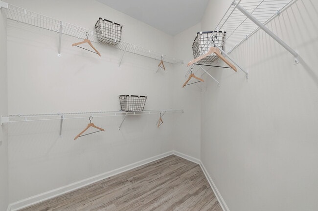Expansive walk in closet