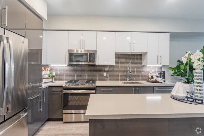 1BR, 1BA - 736 SF - Anton Aspire