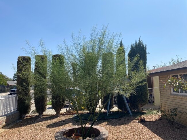 Photo - 7116 Orange Tree Ln