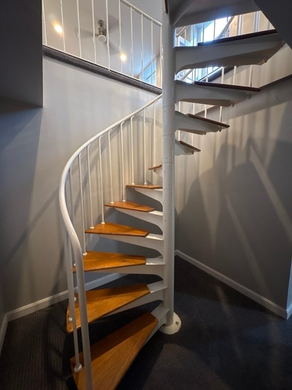 Photo - 41 Morton St Unidad 4