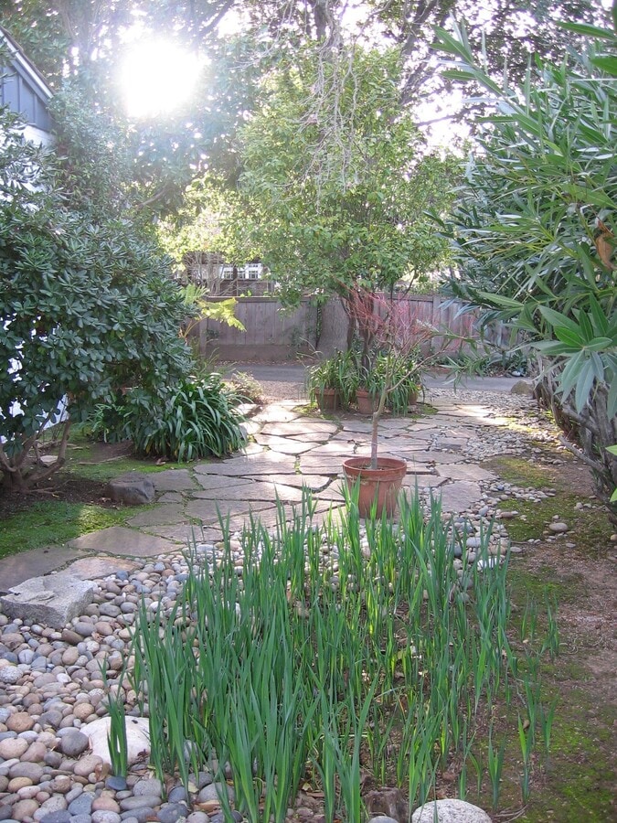 Photo - 82 Hillview Ave