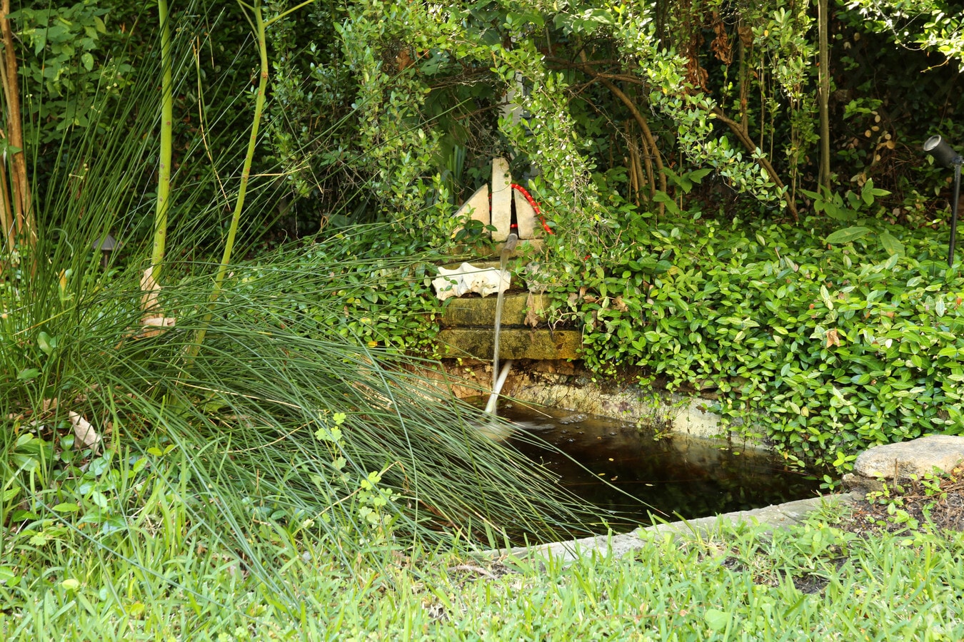 Photo - Spruce House