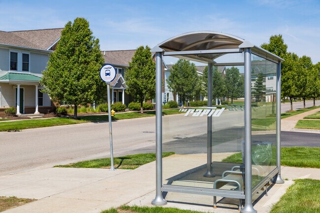 Bus Stop