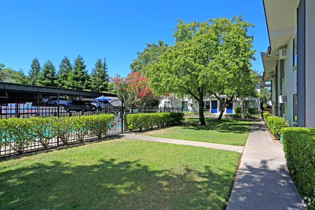 Building Photo - Olive Square Apartments