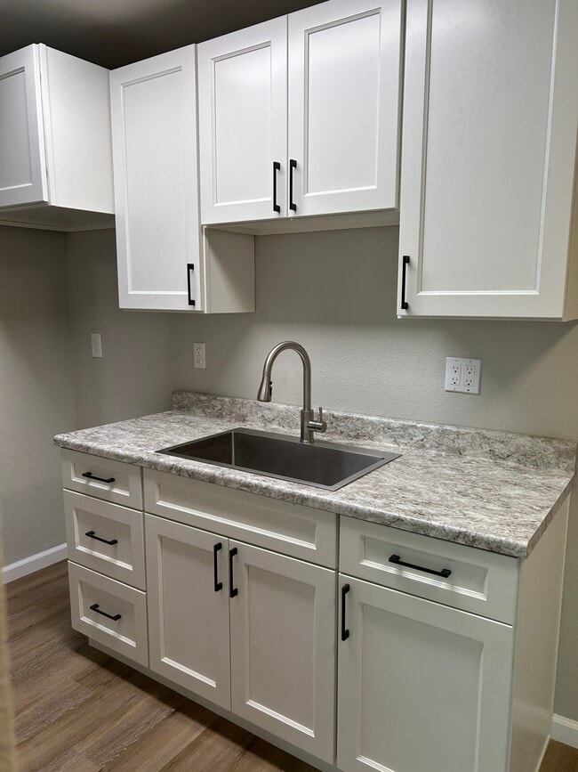 New kitchen cabinets, countertops, plumbing fixtures, soft close drawers - 2829 Apple Valley Ln Unit #4