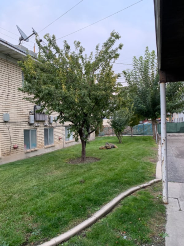 Photo - 466 E 1300 S Apartamento Unidad 466