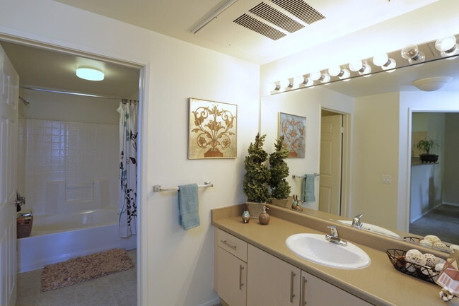 1 Bedroom_Chianti_860SF