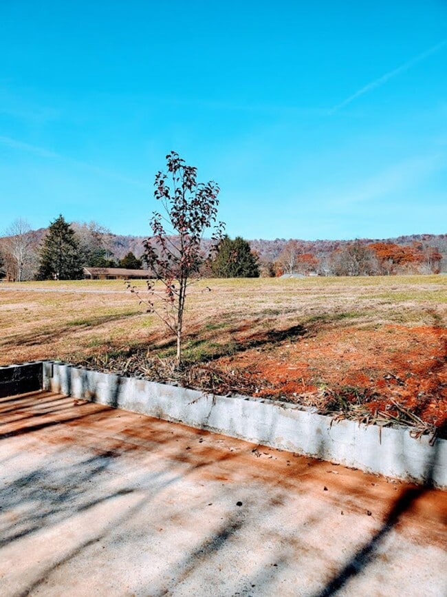 Photo - 3990 Seven Springs Rd