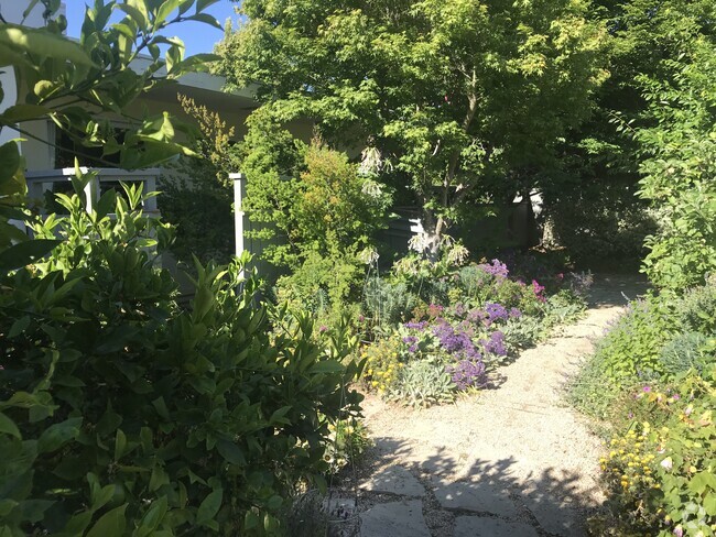 Garden - 3031 Fulton St Rental