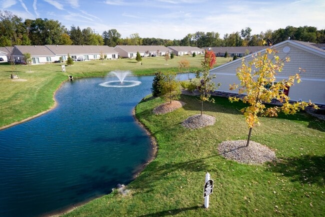 Charming Greenery and Water Feature