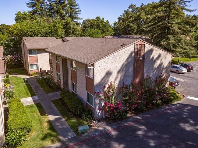 Acacia Apartments