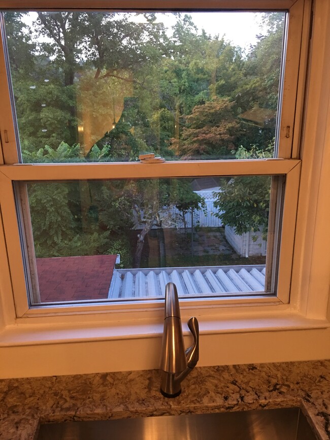 Backyard view from kitchen - 26 Beechwood Ave Unit 2nd floor