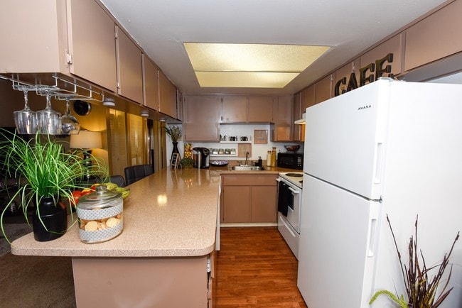 Photo - Westminster Chase