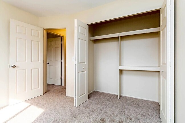 Inside of Closet - Storage