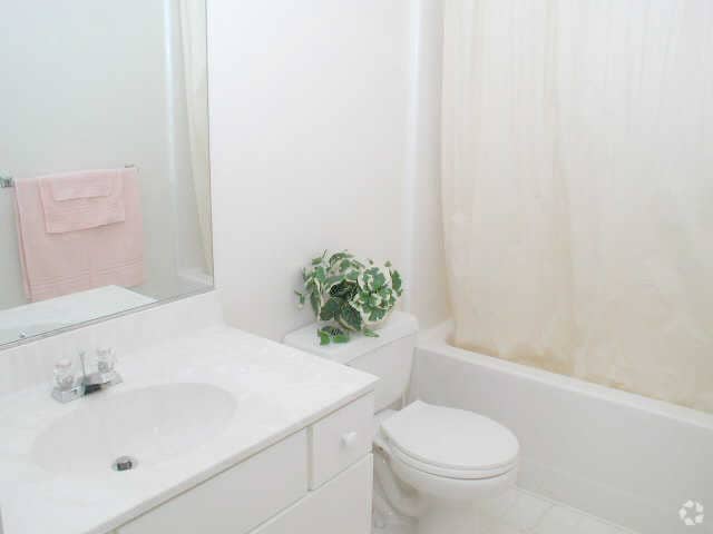 Baño - Blueberry Hill Apartments