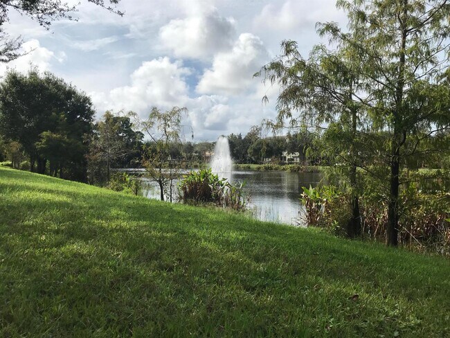 Photo - 141 E Thatch Palm Cir