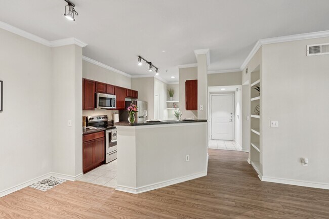 Livingroom and Kitchen