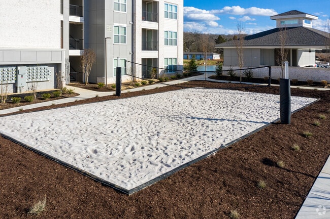 Volleyball Court
