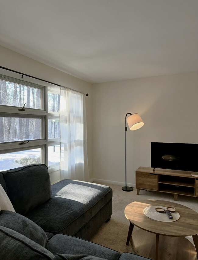 Bright, Furnished 1-Bedroom - Parkwood Village Apartments