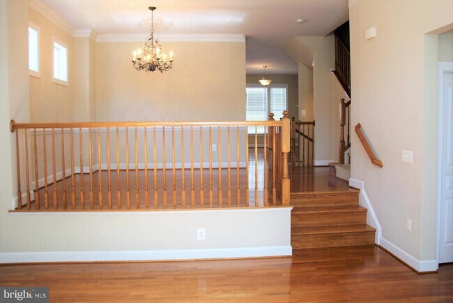 Photo - 12261 Water Elm Ln