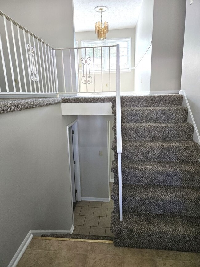 Photo - Spacious Split Level In Gainesway   251113