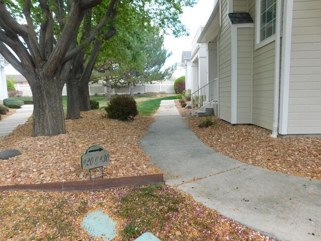 Photo - Close to St Mary's/CMU