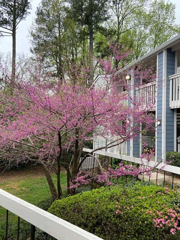 Chatsworth Apartments Chamblee, GA