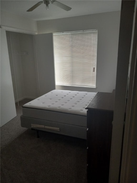 Building Photo - 220 Elm St Rental