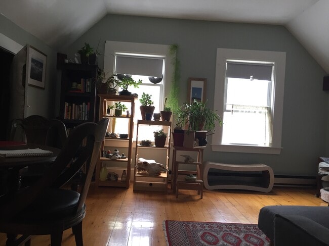 Photo - 14 Anson St Unit 3