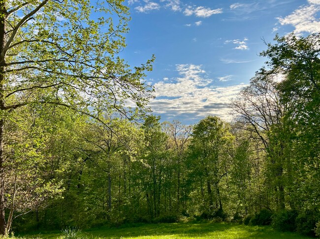 Photo - 1770 IN-46 Unidad 1 C