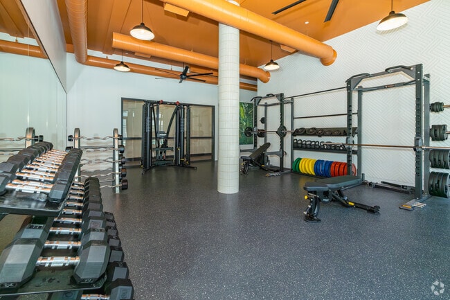 Gimnasio
