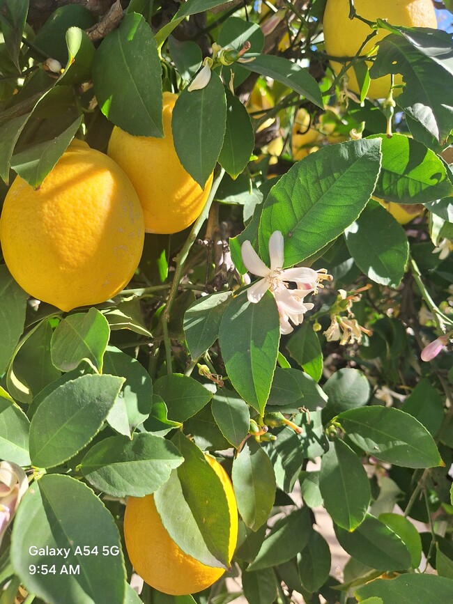 Photo - 14597 Cochiti Dr